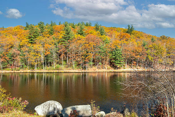 istock reflections of  late autumn on colburn pond 2245306074