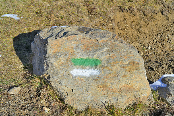 Trail marking with green and white paint on a large rock in natural outdoor setting.