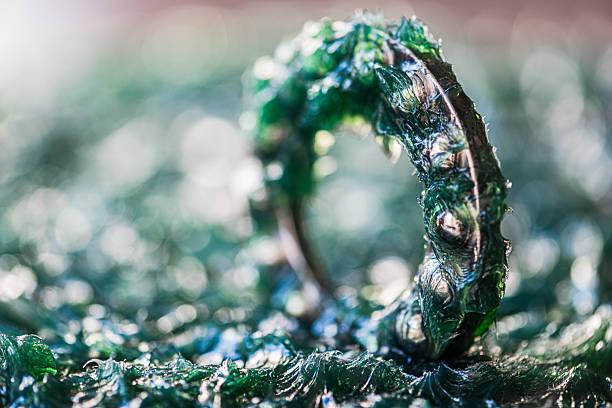 Ball bearing immersed in green industrial grease