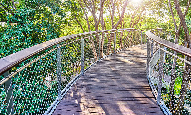 istock Wooden bridge in the park 2245311084