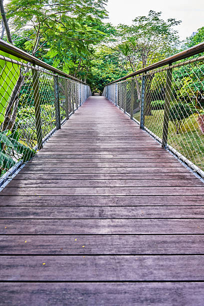 Wooden bridge in the park