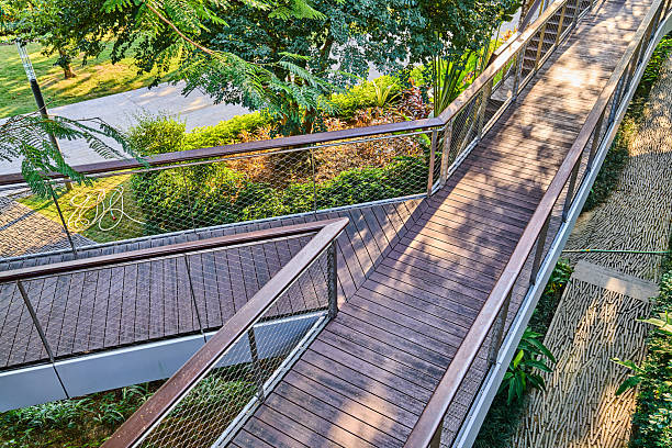 istock Wooden bridge in the park 2245311996