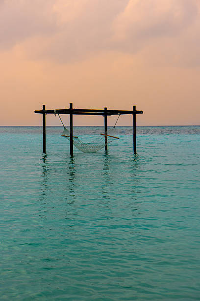 Sea hammock at sunset view. Tranquil closeup calm sea water waves with palm trees. Tropical island beach landscape exotic shore coast. Summer vacation, holiday amazing nature. Relax paradise, Maldives.