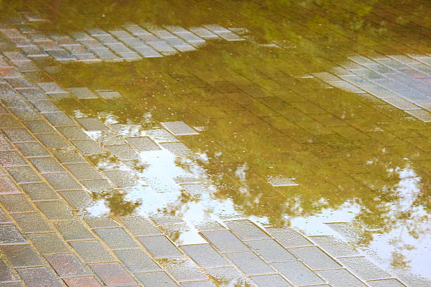reflect on water and wet floor