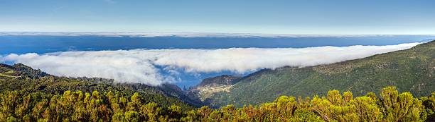 istock Stone hiking path in mountain landscape on Madeira island 2245317535