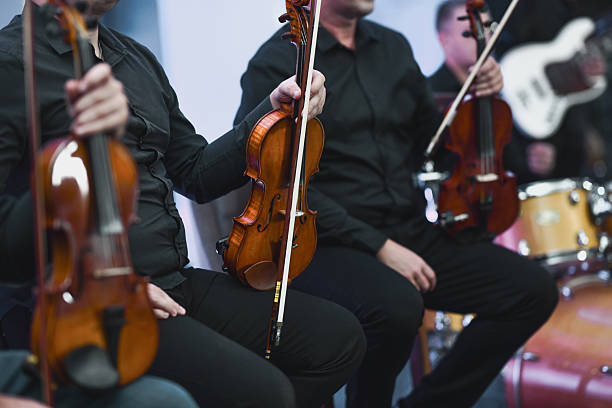 istock Group of Violinists in Black Attire Playing String Instruments During Live Session 2245318991