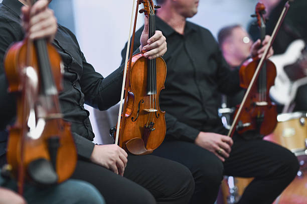 A row of musicians in black clothing play violins in a live performance, focusing on the wood tones and intimate concert atmosphere.