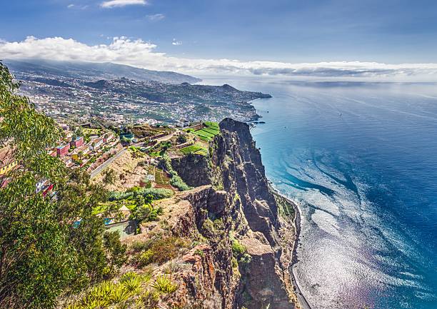 istock Park and gardens in central Funchal Madeira 2245319975