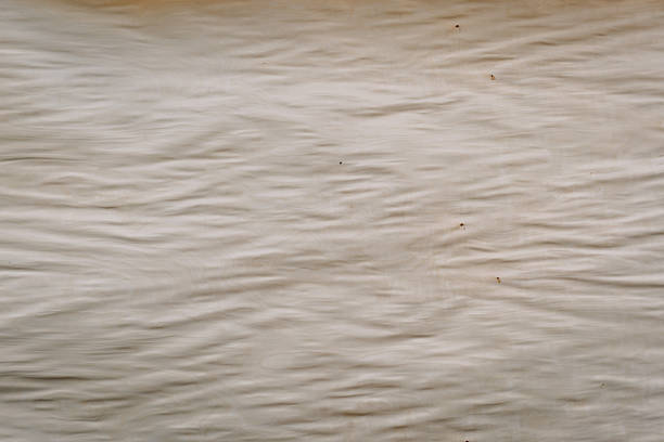 Smooth water surface displays gentle ripples and soft reflections, evoking a sense of calm and tranquility, perfect for nature-themed projects