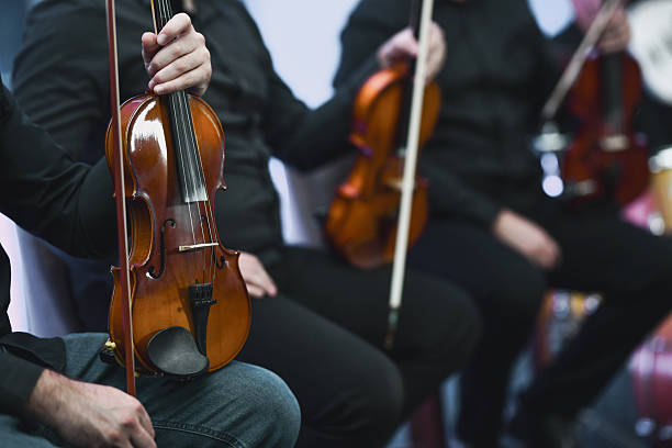 A row of musicians in black clothing play violins in a live performance, focusing on the wood tones and intimate concert atmosphere.