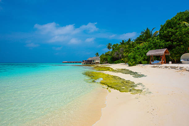 istock Maldives Tropical Islands 2245323318