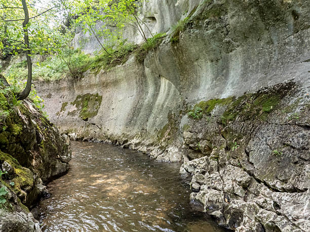 istock Banita gorge ( Cheile Banitei ), Hunedoara county, Romania 2245325195