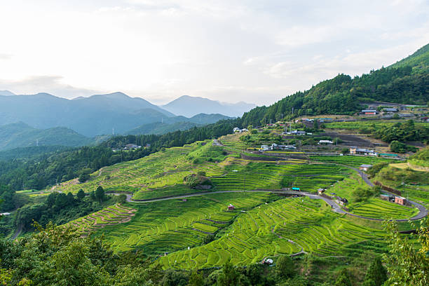 istock Maruyama Senmaida Rice Terraces at Dusk 2245325301