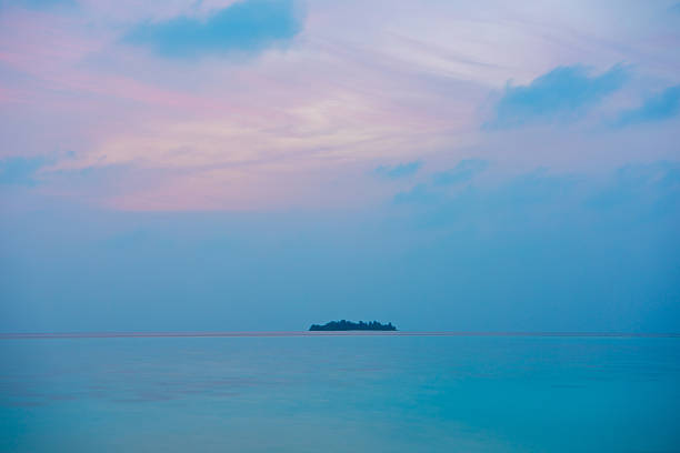 Blue hours at tropical Island. Relax paradise, Maldives. Tranquil closeup calm sea water waves with palm trees. Beautiful Panorama, Summer vacation, holiday amazing nature. Tropical island beach landscape exotic shore coast.