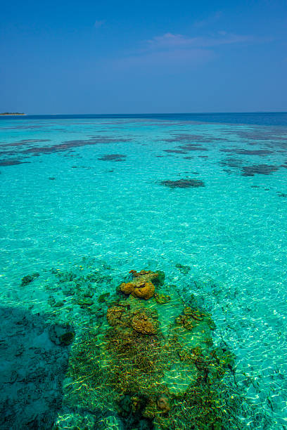 istock Maldives Tropical Islands 2245326654