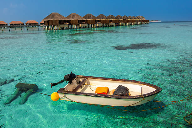 Relax paradise, Maldives. Tranquil closeup calm sea water waves with palm trees. Beautiful Panorama, Summer vacation, holiday amazing nature. Tropical island beach landscape exotic shore coast.