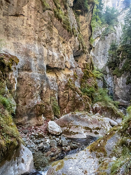 istock Image from Cheile Butii gorge, Hunedoara,  Romania 2245327987