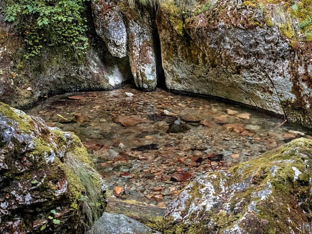 Image from Cheile Butii gorge, near Campu lui Neag, Hunedoara,  Romania