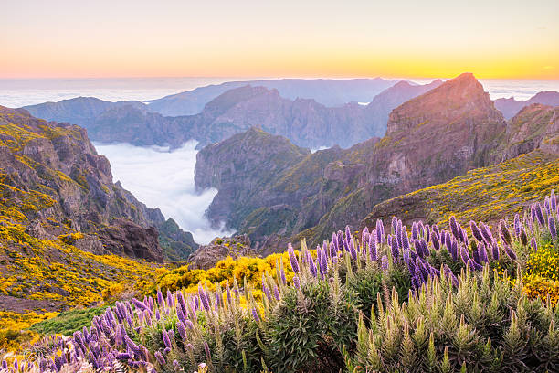 istock View from Pico do Arieiro, Portugal 2245328401