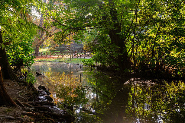Autumn at Parco Sempione, Milan