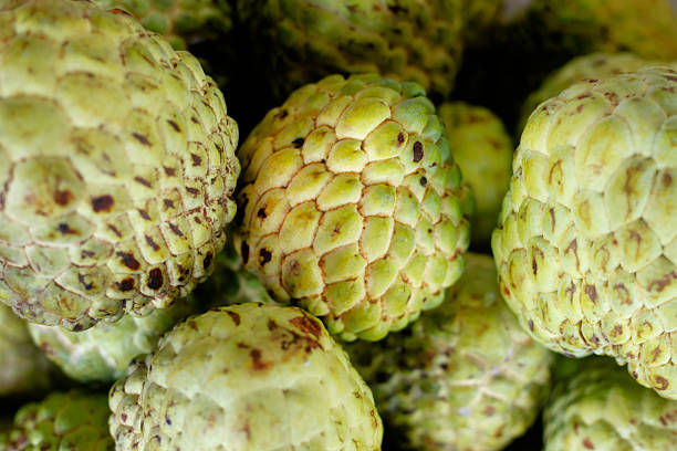 Group of Organic thai sugar apples