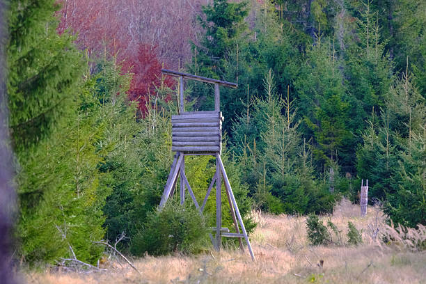 Autumn in the Thuringian Forest