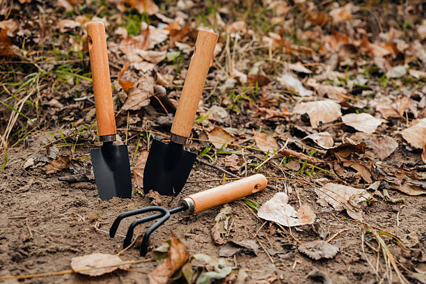 three small garden tools - two trowels and a rake, laid out on the ground covered with dry soil and fallen autumn leaves outdoors, ready for work in the backyard or garden
