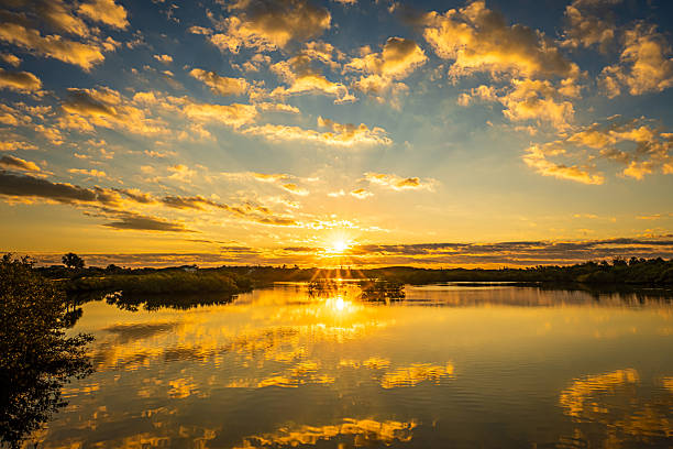 istock Sunrise over Florida wetlands 2245339498