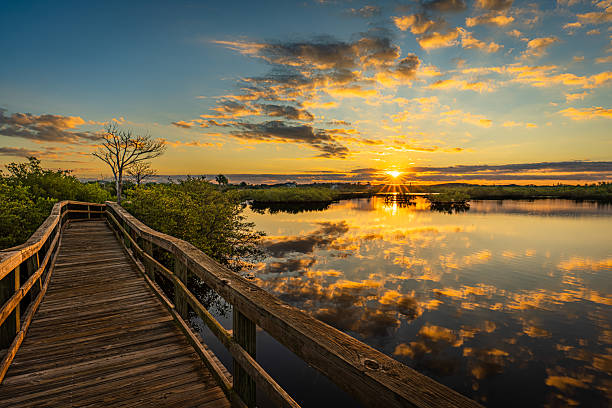 istock Sunrise over Florida wetlands 2245339565