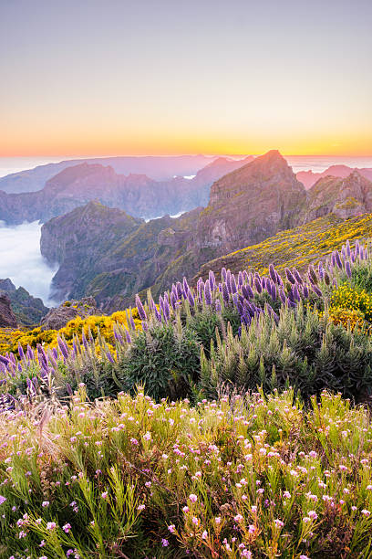 istock View from Pico do Arieiro, Portugal 2245342962