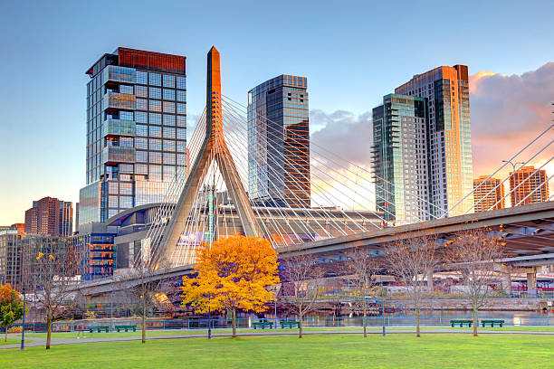 The Zakim is a cable-stayed bridge completed in 2003 across the Charles River in Boston, Massachusetts. The bridge and connecting tunnel were built as part of the Big Dig.