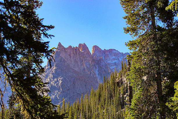 Jagged mountain peaks in the background, framed by green pine trees. Located near lone eagle peak in Colorado. Bright blue sky in the background.