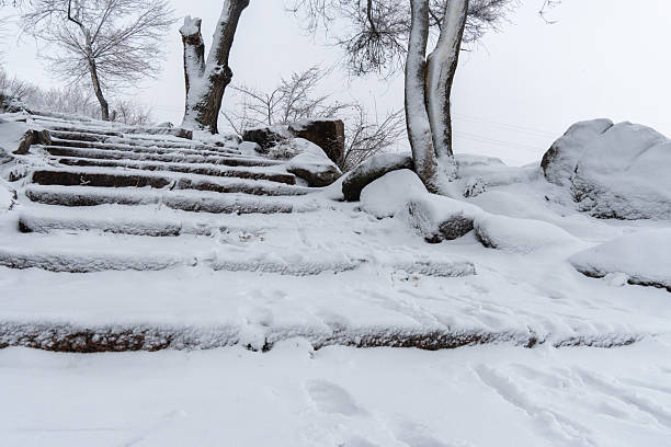 Snow-covered stone staircase leading through winter landscape. Snowy park and steep stair in park after heavy snowfall. Frosty  pathway in descent in cold weather. Depicts winter danger outdoors.
