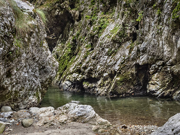 istock Image from Cheile Oltetului gorge,  Romania 2245359554