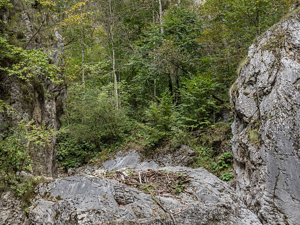 istock Image from Cheile Oltetului gorge,  Romania 2245360419