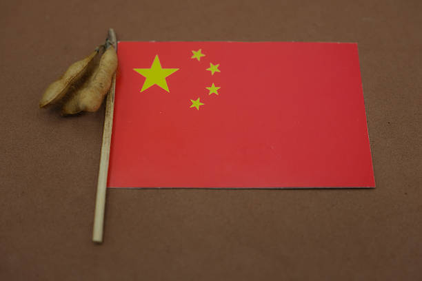 istock Chinese flag and soybean stalk with soybean pods. 2245363733