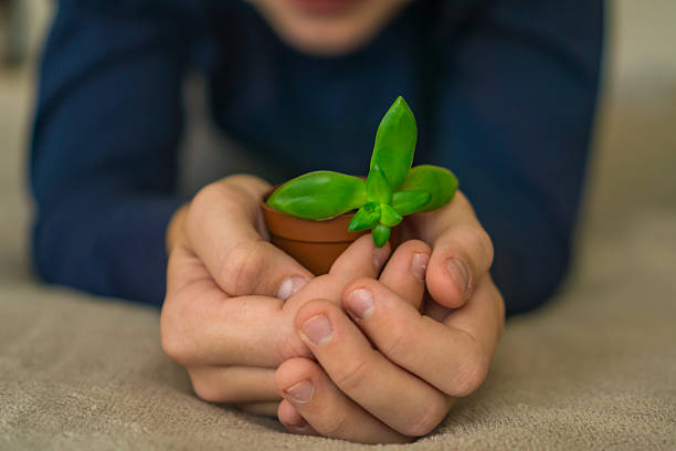 A child gently holds a tiny potted sprout, symbolizing care, growth, and nurturing a new beginning for life and nature