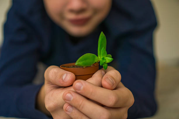 A child gently holds a tiny potted sprout, symbolizing care, growth, and nurturing a new beginning for life and nature