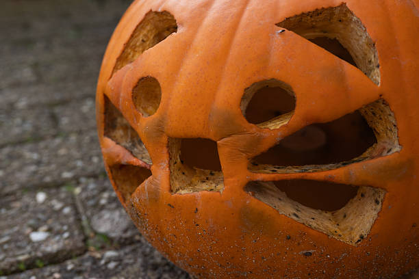 Carved Pumpkin Outdoors in the Daytime