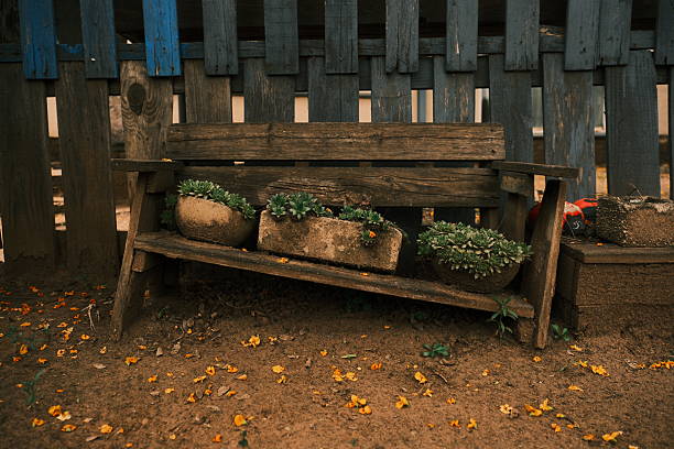 A rustic wooden bench repurposed as a plant holder, displaying potted succulents in an earthy outdoor garden. The aged wood, textured soil, and scattered yellow petals create a warm, nostalgic atmosphere full of natural charm and character.