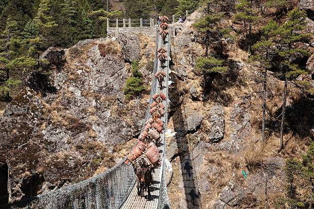 Hillary suspension bridge view along Everest base camp trekking, Nepal landscape