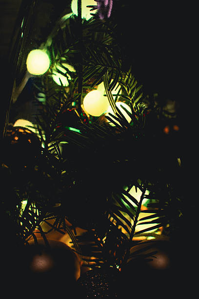 istock Christmas tree lights, vertical. Christmas tree with bulb garland, close up. Evergreen tree with Christmas decoration. New Year mood. Festive illumination and spruce tree with needles. 2245372223