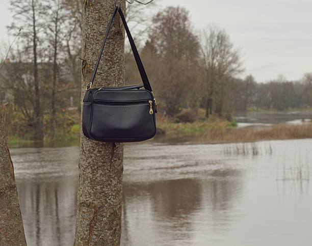 Purse hanging on tree - woman's forgotten handbag hangs on a tree by the water