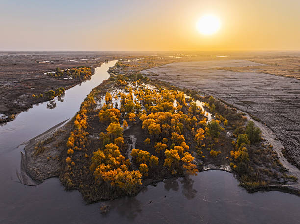 istock Sunrise over Populus euphratica Forest and River, Bayingolin, Xinjiang, China 2245375392