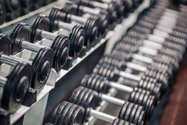 istock Metallic dumbbells lined up precisely on structured fitness rack, showcasing organized strength training space 2245376899