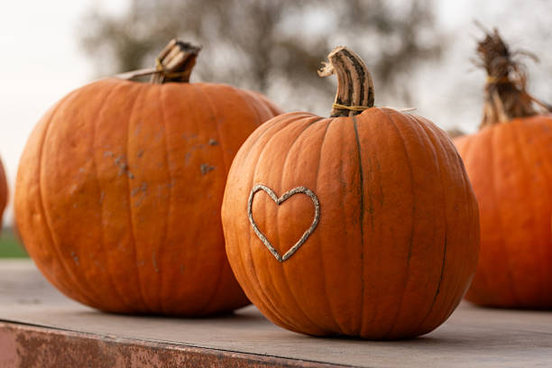 A close-up view of orange pumpkins on a rustic table, one featuring a heart-shaped carving.