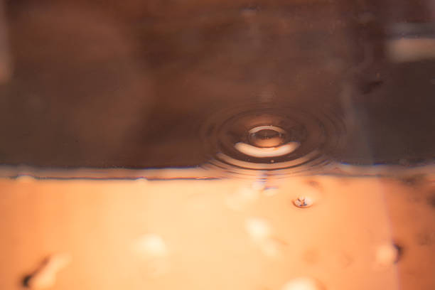 Water beading effect after car detailing. To prevent or reduce water stain. Spray ceramic wax