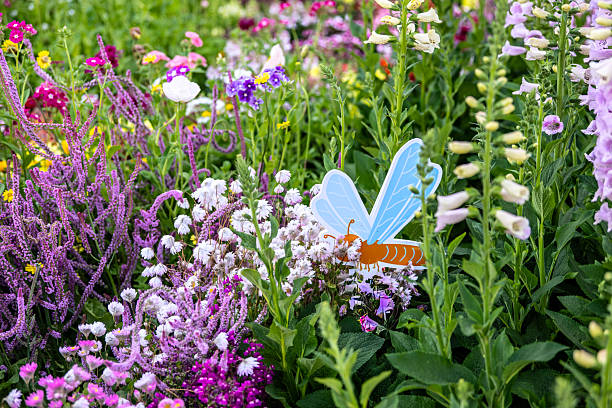 Spring flowers and a buttefly, Toowoomba, Queensland