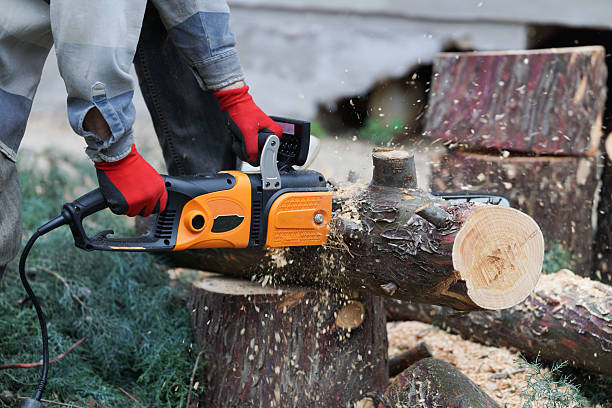 istock A man cutting fallen tree with an electric chainsaw 2245401472