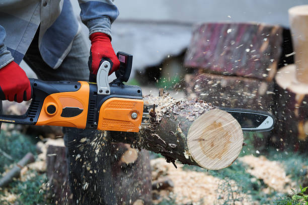 istock A man cutting fallen tree with an electric chainsaw 2245401501